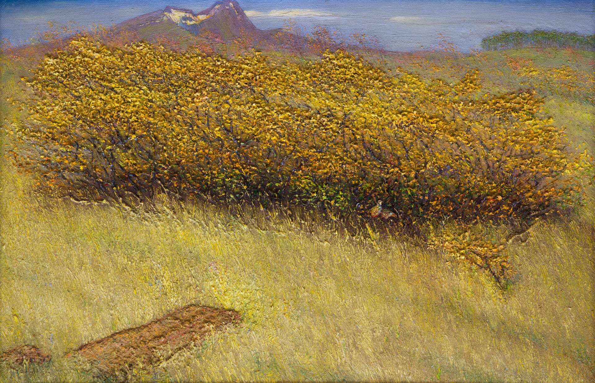 «Дубовый куст на Арагаце» (х., м.), 49 х 73, 1999 г.