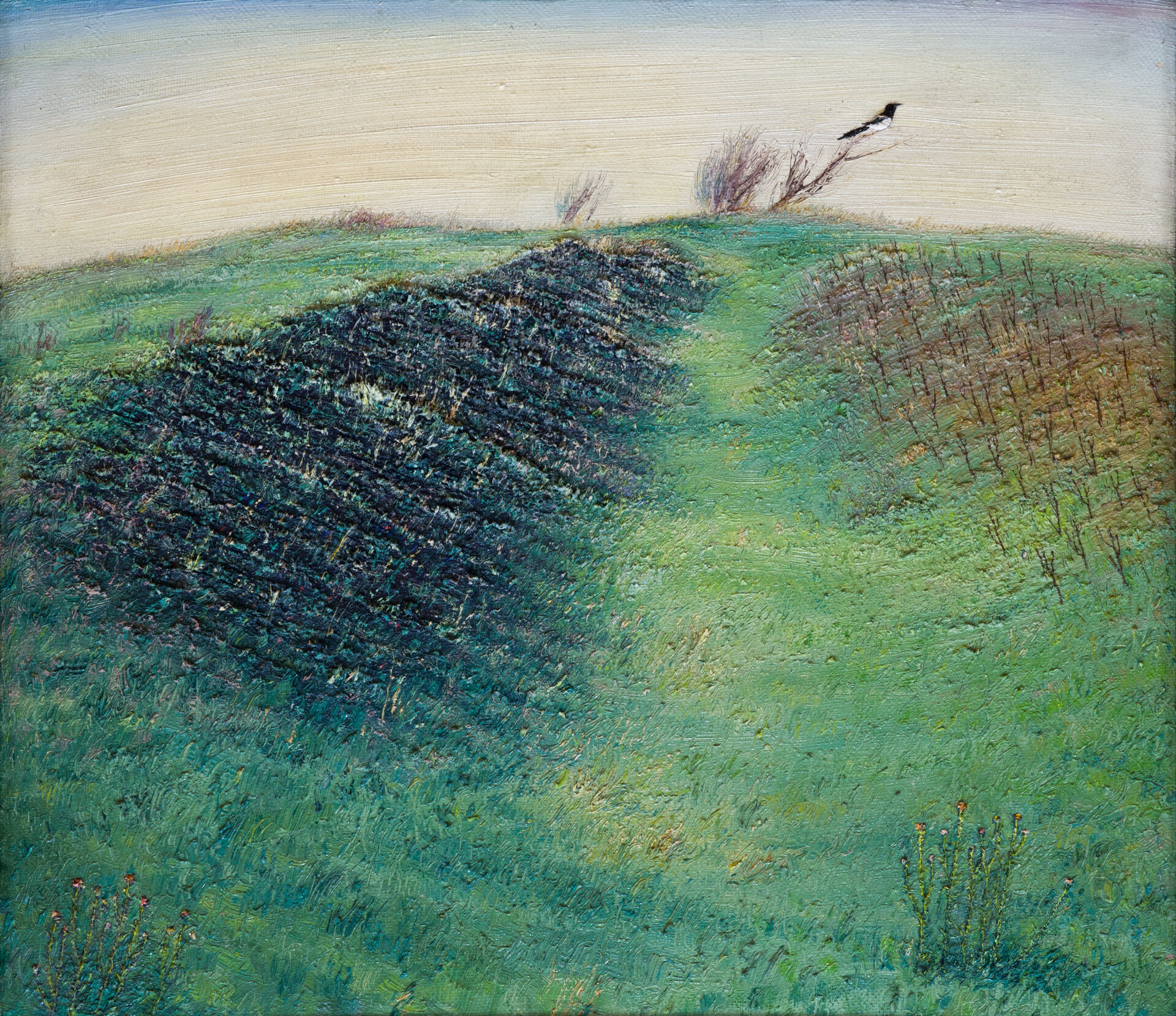 «Овражек» (х., м.), 51 х 61, 2000 г. 