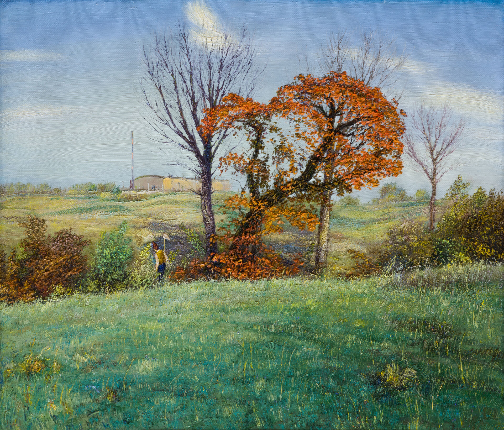 «Красная жердёла» (х., м.), 51 х 61, 1995 г.