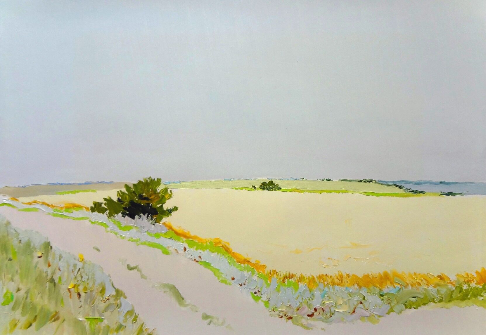 «Пшеничное поле», бумага, масло, 62 × 82 см 2024 г.